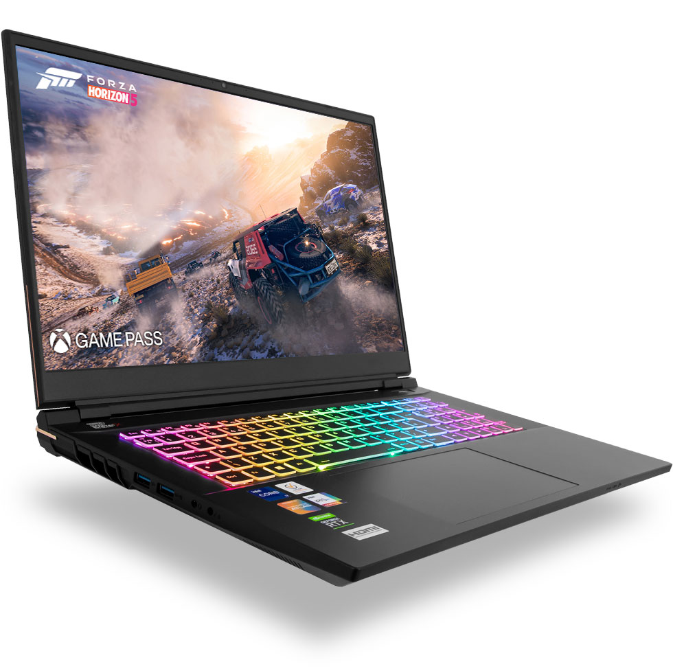 gaming laptop graphics